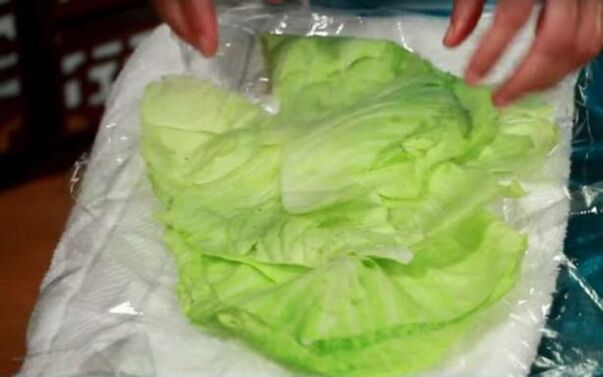 Cabbage compress for pain caused by arthrosis of the shoulder joint